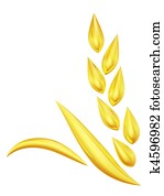 Gold wheat spike