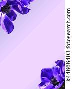 Purple anemone flower invitation illustrator template Purple anemone flower invitation illustrator template