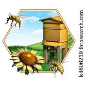 Bee hive Bee hive