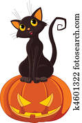 halloween, katz, auf, kürbis halloween, katz, auf, kürbis