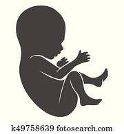 Human fetus icon Human fetus icon