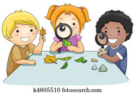 Studying Leaves Studying Leaves