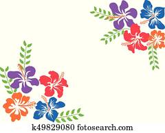 צבע, הוואי, היביסקוס, רקע