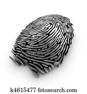 3d fingerprint representation for authentication or recognition 3d fingerprint representation for authentication or recognition