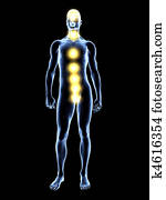 Chakras Chakras
