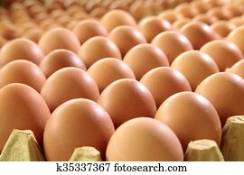 Eggs Eggs