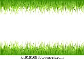 Grass On White Background Grass On White Background