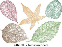 outono sai, vetorial