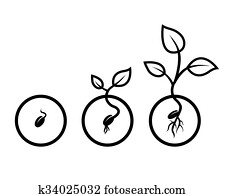 Seed Stock Illustrations | Our Top 1000+ Seed art | Fotosearch