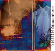 A collage using botanical and?architectural?elements to construct a?balanced composition. A collage using botanical and?architectural?elements to construct a?balanced composition.