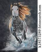 Andalusian horse run gallop Andalusian horse run gallop