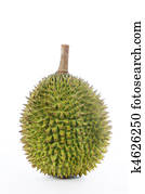 Durian over white background