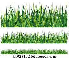 grass grass