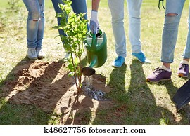 grupo, de, voluntários, plantar, e, aguando, árvore