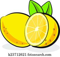 Lemon Fruit Lemon Fruit