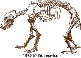 חקיקה, דוגמה, של, ילד, שלד