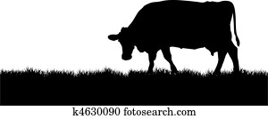 cow cow