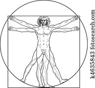 ה, איש של ויטראויאן, (outline, version)
