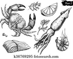 Vector hand drawn seafood set. Vintage illustration Vector hand drawn seafood set. Vintage illustration