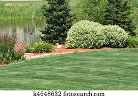 חצר אחורית, לאנדסכאפינג