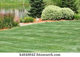 חצר אחורית, לאנדסכאפינג