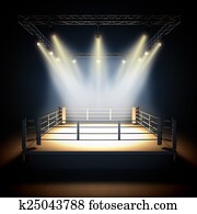 Empty professional boxing ring. Empty professional boxing ring.