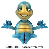 Fun turtle Fun turtle