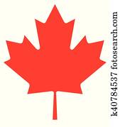 Maple Leaf Maple Leaf