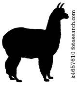 Silhouette of alpaca Silhouette of alpaca