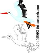 Stork