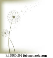 dandelions dandelions