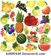 Fruits. Fruits.