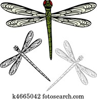 Realistic Dragonfly Realistic Dragonfly