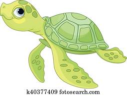 Sea Turtle Sea Turtle