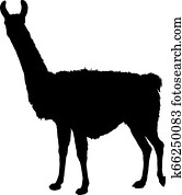 לאמה, צללית