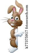 oster hase, kanninchen, guckend, ungef?hr, zeichen, zeigen oster hase, kanninchen, guckend, ungef?hr, zeichen, zeigen