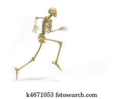 Skeleton running Skeleton running