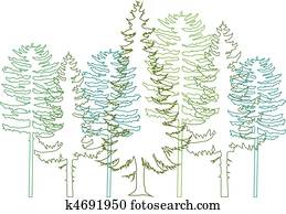 fir trees, vector fir trees, vector