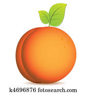 peach peach
