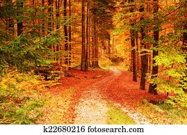 autumn autumn