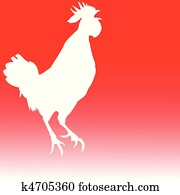 cock white illustration