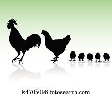 galinha, família, silhuetas