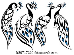 Peacocks Peacocks