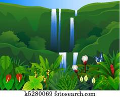 Tropical forest Tropical forest