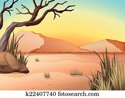 Desert Desert