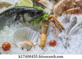 Seafood Seafood