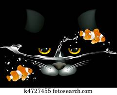black cat looking at two clown fish.