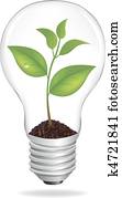 Bulb With Sprout Bulb With Sprout