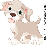 Cute puppy Cute puppy