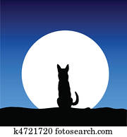 dog on the moon dog on the moon